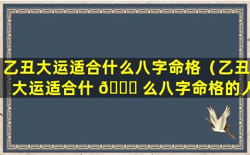 乙丑大运适合什么八字命格（乙丑大运适合什 💐 么八字命格的人）